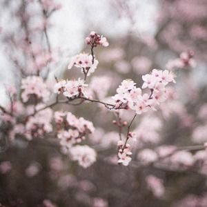 Meet your Posher, Hasinah